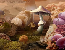 Download Mushroom Age