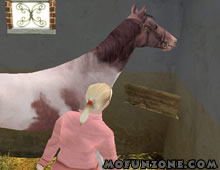 Download Saddle Up - Time to Ride