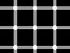 50 Optical Illusions