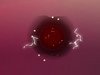 Attractor