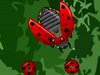 Bug Slayer