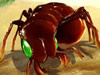 Bug War