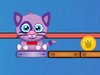 Cat Shmat