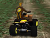 Colacao Racing Quads