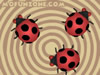 Crazy Ladybugs