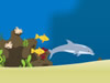 Dolphin Olympics 2