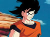 Dragon Ball Z Tribute