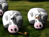 Exploding Cow Milk Crisis