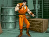 Final Fight Flash