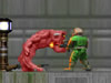 Flash Doom 2D