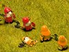 Little Wars
