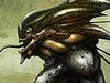 Narcolyxii