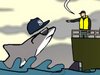 New York Shark