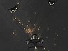 Not Your War