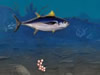 Ocean Survivor