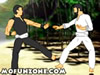 Pencak Silat