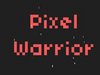 Pixel Warrior