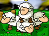 Puzzled Sheep