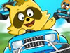 Raccoon Racing