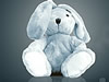 Save the Bunny