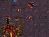 StarCraft FA 5