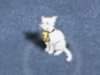 Time4Cat