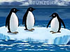 Turbocharged Penguins