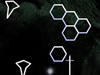 Virus