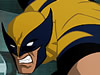 Wolverine M.R.D. Escape