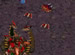 StarCraft FA 5 online game