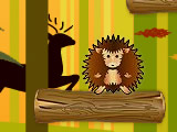 Hedgehog Challenge