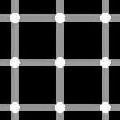 50 Optical Illusions