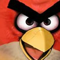Angry Birds Hunter