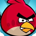 Angry Birds Tribute?