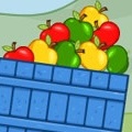 Apple Harvest