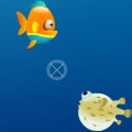 Big Fish Hunting