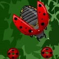 Bug Slayer