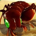 Bug War