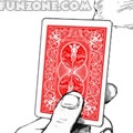 Card Flip