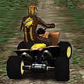 Colacao Racing Quads