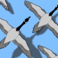 Endless Migration