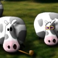 Exploding Cow Milk Crisis
