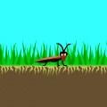 Exterminator
