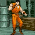 Final Fight Flash