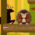 Hedgehog Challenge