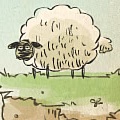 Home Sheep Home