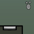 Lint