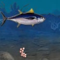 Ocean Survivor