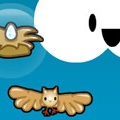 Owl Spin
