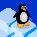Penguin Pass